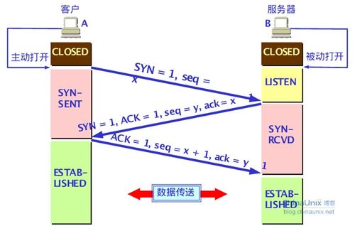 计算机网络基础知识与技术开发要点全解析
