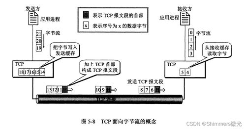 TCP协议 网络通信的可靠基石与技术开发实践